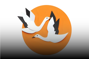 Konfliktmuster erkennen & durchbrechen